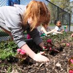 ella gardening